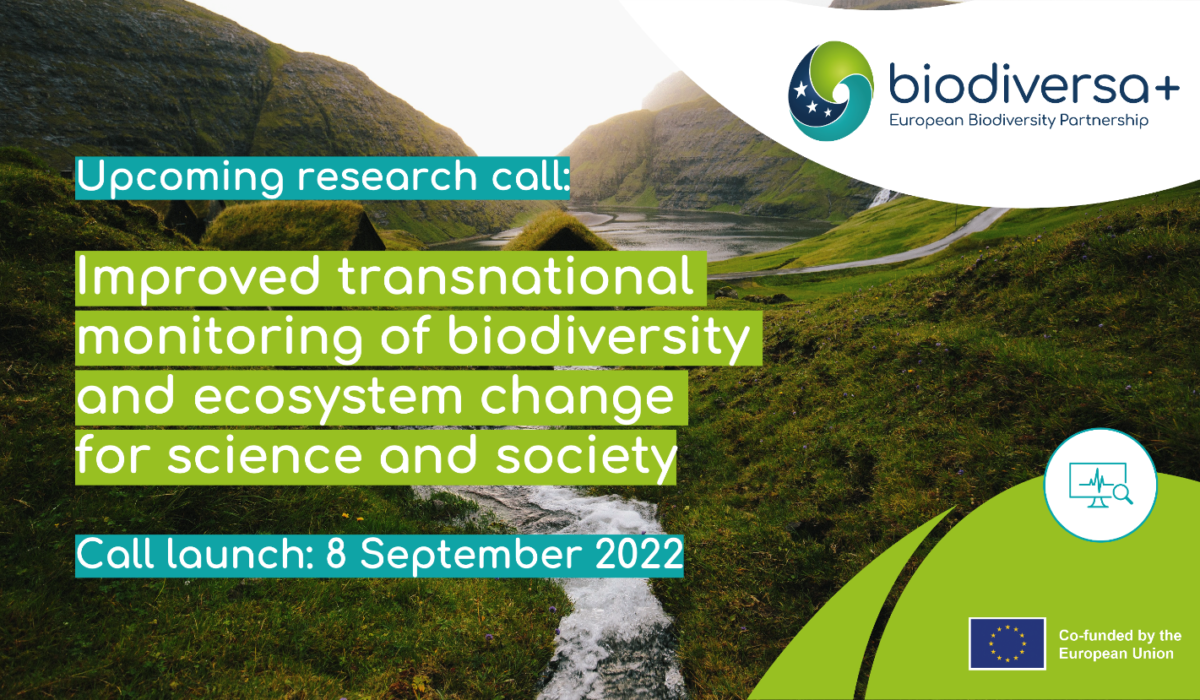 European Biodiversity Partnership lancia un nuovo bando di ricerca sul monitoraggio transnazionale della biodiversità